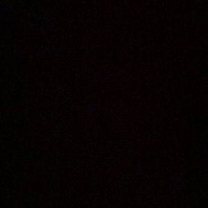 Meet your Posher, Forrest